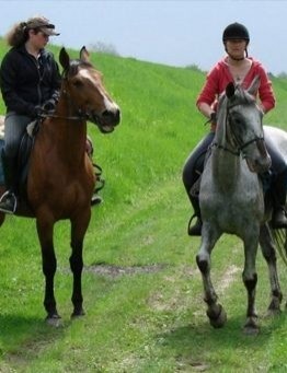 Nauka jazdy konnej dla dwóch osób – Płock