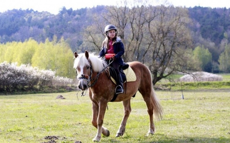 Dziewczynka tuląca konia