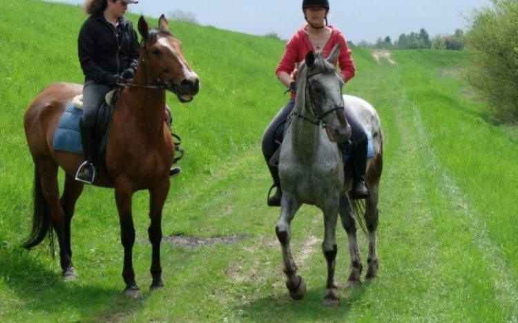 dwie kobiety jadące drogą na koniach