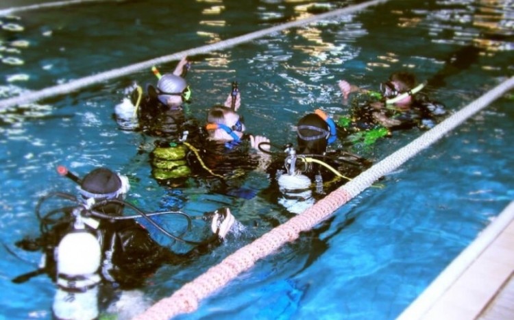 Grupa nurków na torze sportowym na basenie