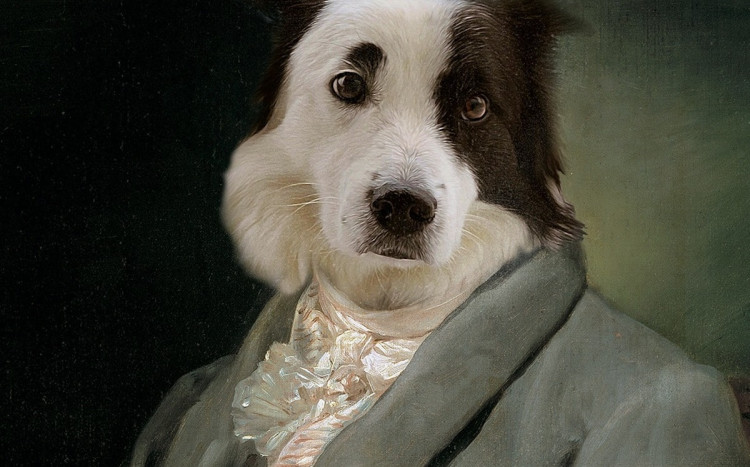 portret psa dognity