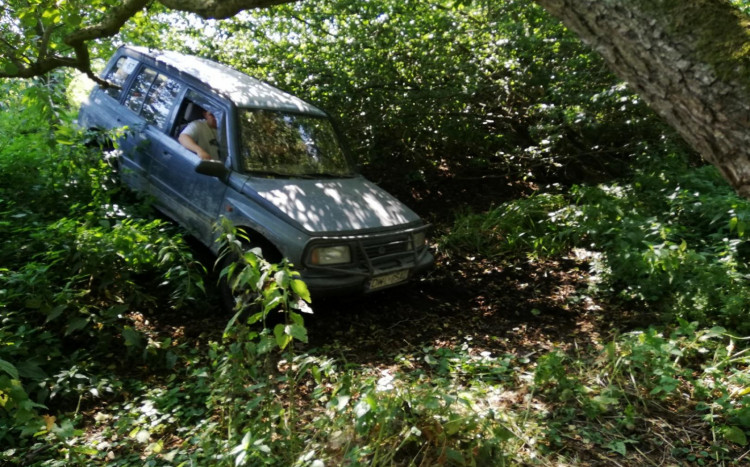 jazda autem terenowym po lesie