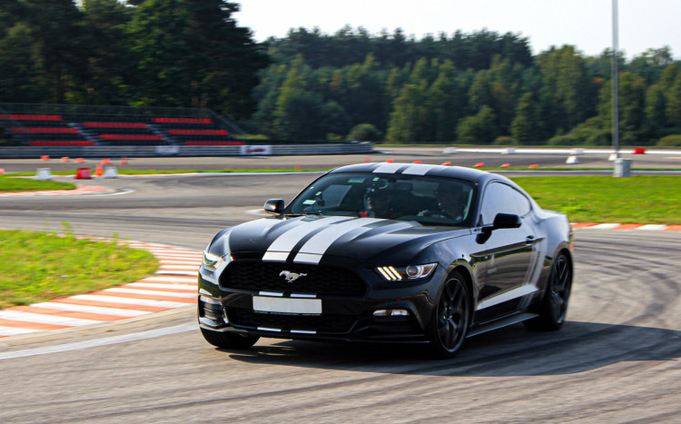 ford mustang na torze