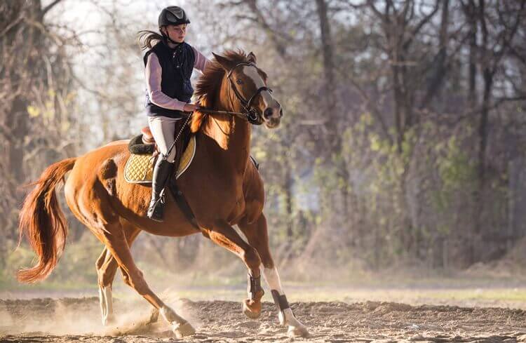 nastoletnia dziewczynka jadąca na koniu