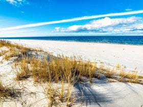 piaszczysta plaża nad morzem bałtyckim w Polsce
