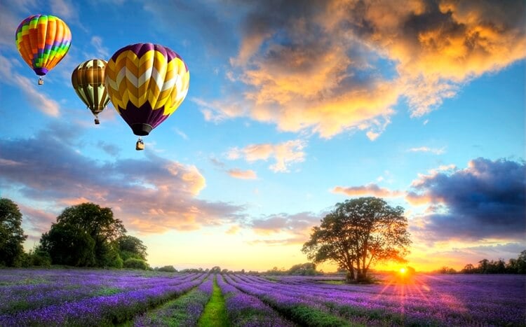 balony na ogrzewane powietrze lecące o zachodzie słońca nad wrzosowiskiem