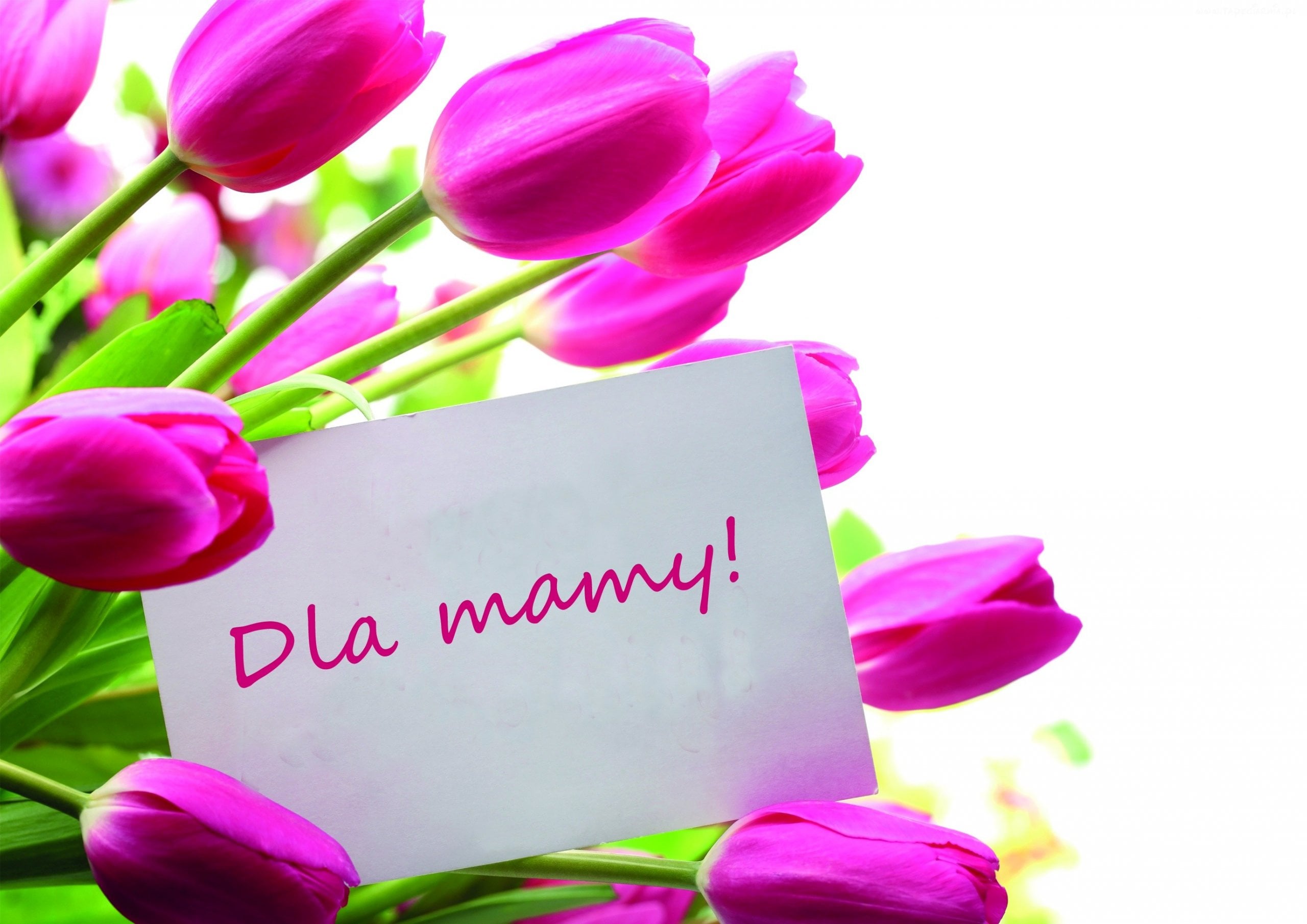 Co Kupi Mamie Na Dzie Mamy 15 Pomys w Na Prezent Na Dzie Matki co-kupi-mamie-na-dzie-mamy-15-pomys-w-na-prezent-na-dzie-matki