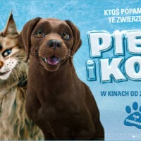 Plakat promujący film Pies i Kot. Na plakacie pies i kot przytuleni do siebie