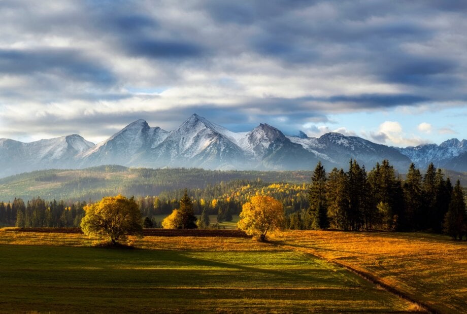 widok na góry i las