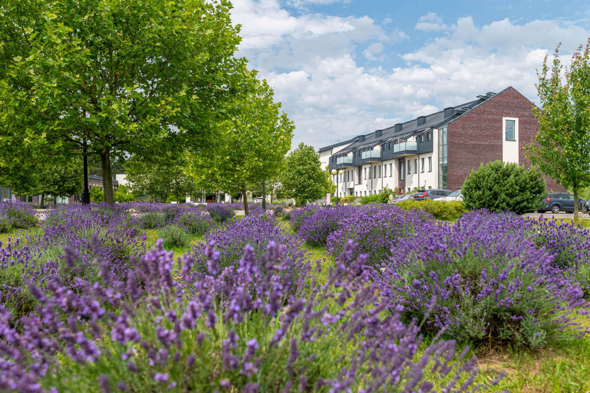 Hotel Lawendowe Termy w Uniejowie