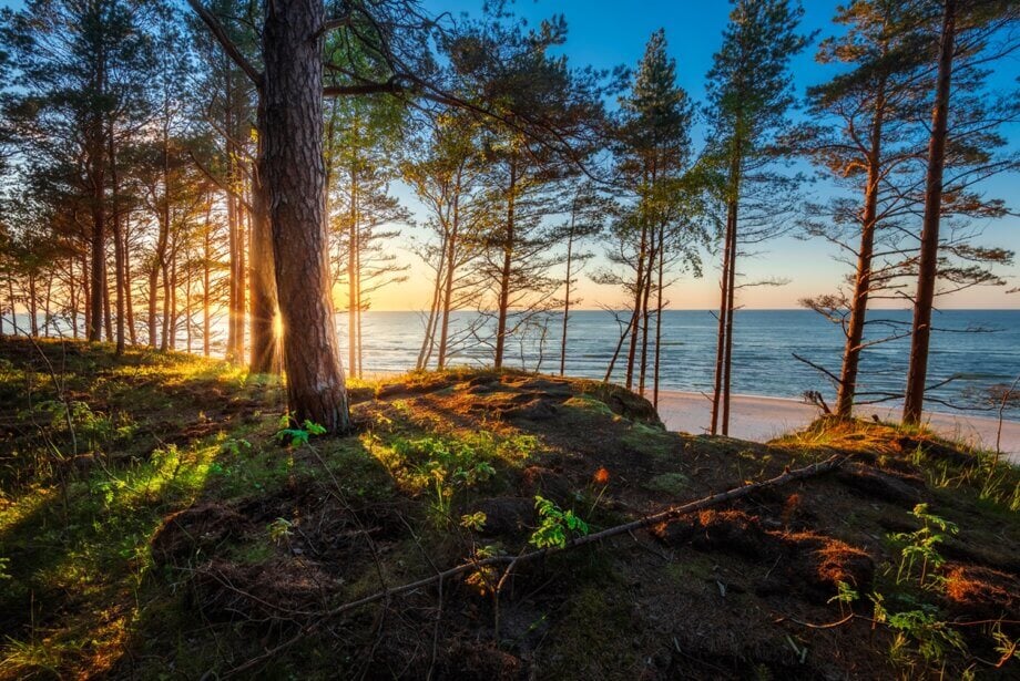 Widok na Morze Bałtyckie