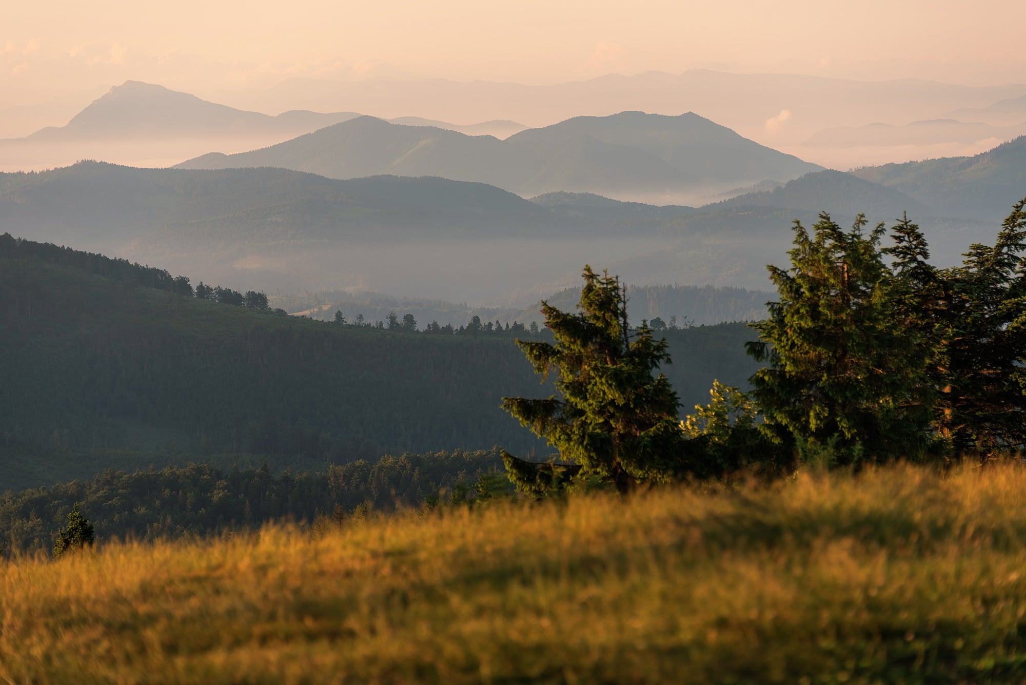 Widok z Wielkiej Raczy w Beskidzie Żywieckim na Słowację