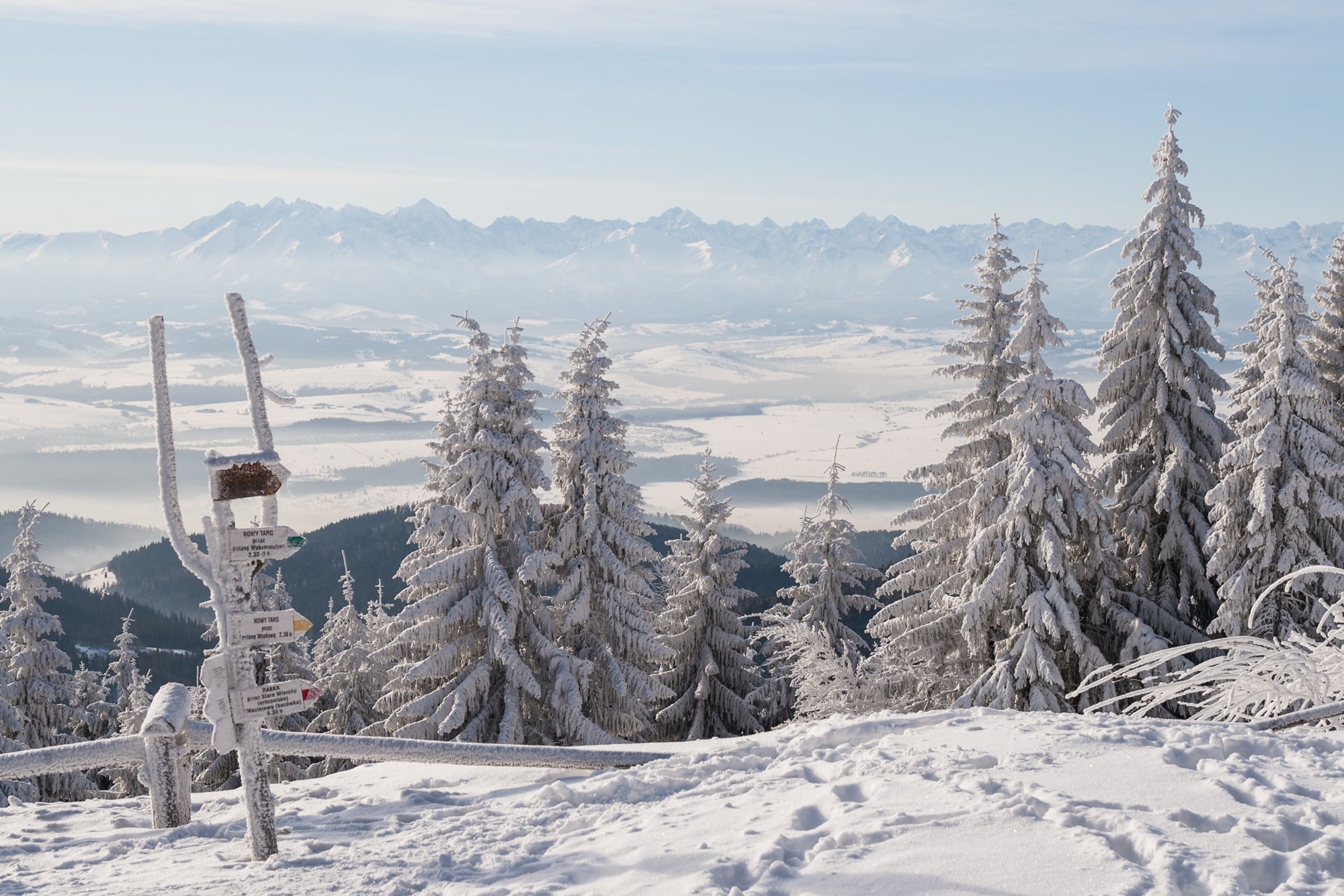 Panorama na Tatry ze Schroniska pod Turbaczem