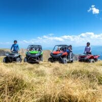 Quad i buggy