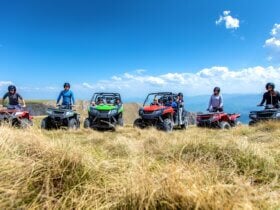 Quad i buggy