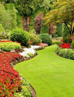Projektowanie ogrodów – kurs online