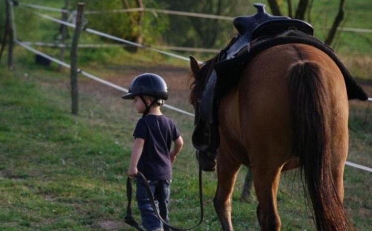 kilkuletni chłopiec prowadzący konia widok z tyłu