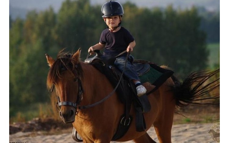 mały chłopiec jadący na koniu