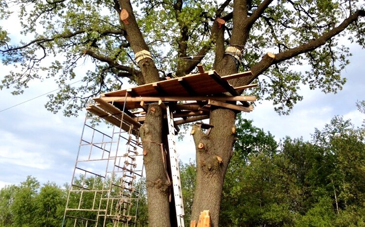 drewniany podest na drzewie do zjazdu tyrolką