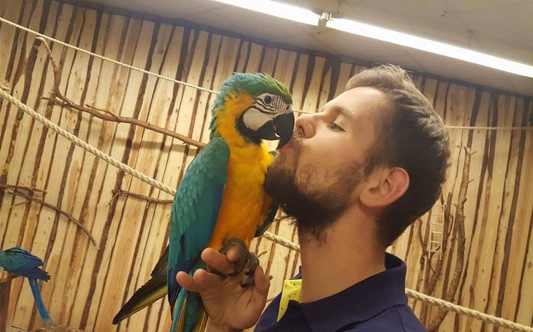 papuga z klientem