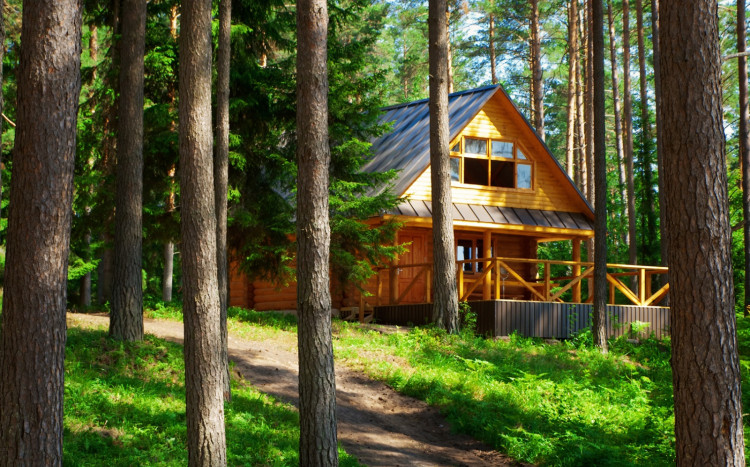 drewniany domek w lesie